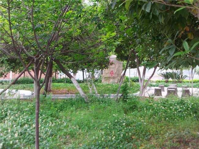 盐亭县职业技术学校(盐亭职中)图片、照片 盐亭县职业技术学校(盐亭职中)图片、照片