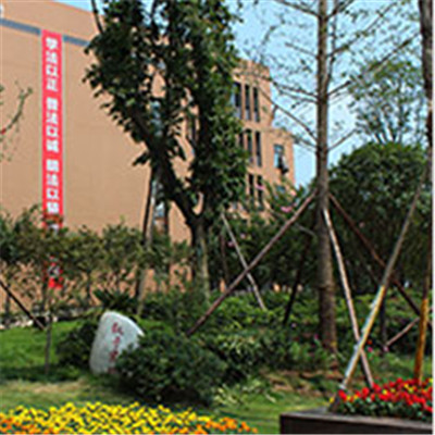 四川希望汽车技师学院图片、照片 四川希望汽车技师学院图片、照片