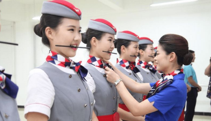 成都东星航空职业学院 (2).png 成都东星航空职业学院 (2).png