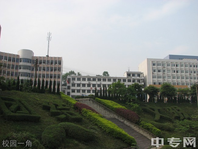 内江医科校园(内江卫校)校园一角