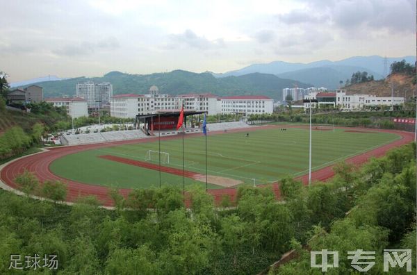 四川省剑阁职业高级中学校足球场