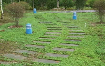 四川省三河职业学院汽车整形技术专业招生