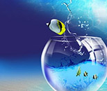 产品艺术设计专业（限招美术与设计类）