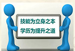 单招考试内容?是否可以升本科?