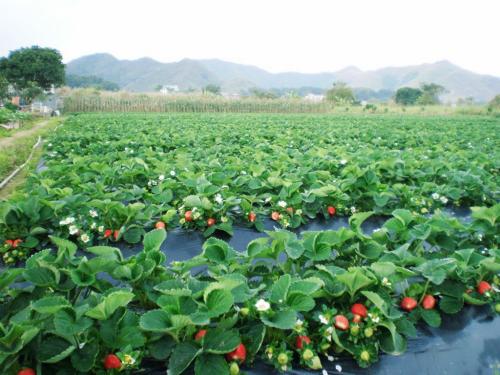 2019年畜牧兽医专业就业方向与就业前景