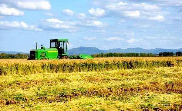 2019年作物生产技术专业就业方向与就业前景