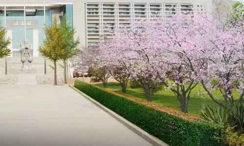 2019年四川省什邡市职业中专学校招生简章