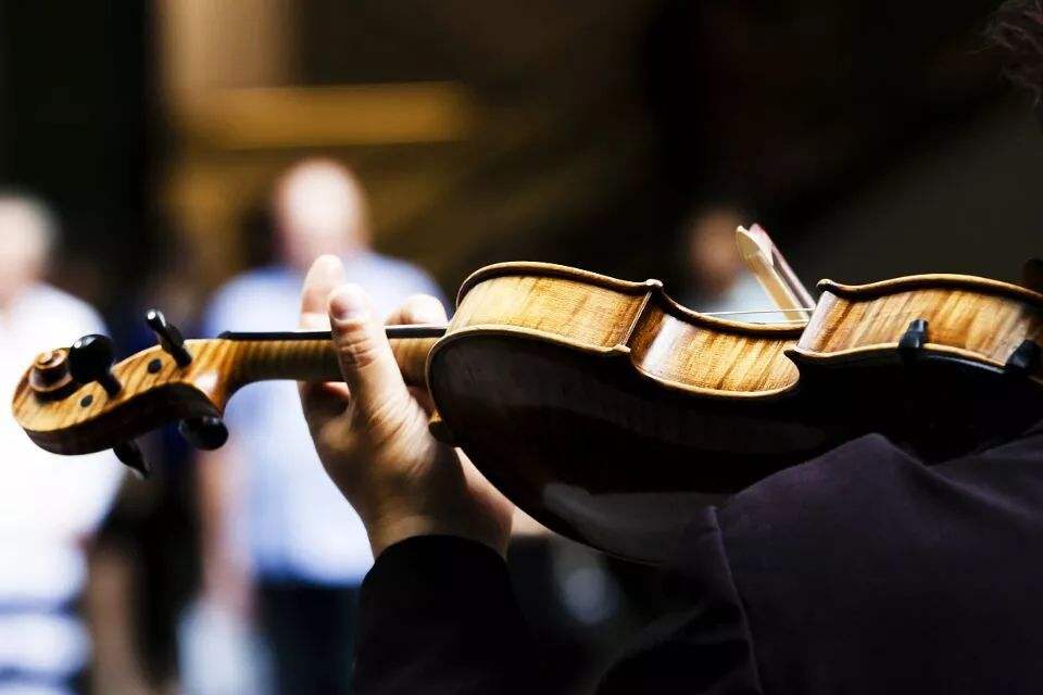 初中生学什么最赚钱