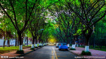 2019四川交通职业技术学院招生简章