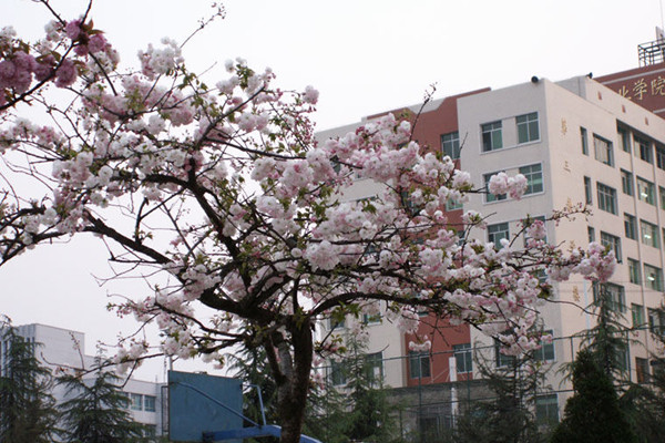 贵州工业职业技术学院 贵州工业职业技术学院