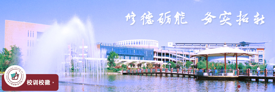 四川城市学院全景图