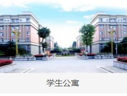 四川文轩职业学校的校园环境好不