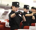 民航空中安全保卫