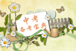 2019年成都中考大事记