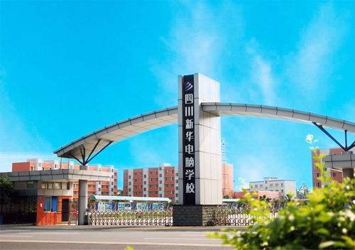 四川新华电脑学校2019年各专业招生简介
