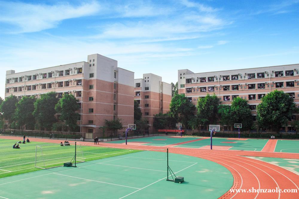 金融工程专业学习难度分析
