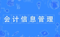 会计信息管理