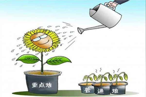 重点班与普通班的区别