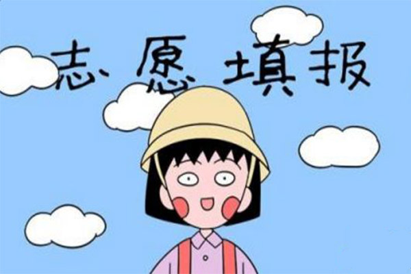 统考填报志愿